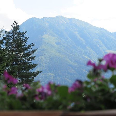 Haus Enzian Apartment Sankt Johann im Pongau Luaran gambar
