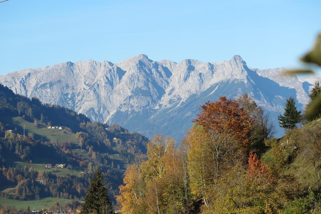 Haus Enzian Apartment Sankt Johann im Pongau Luaran gambar