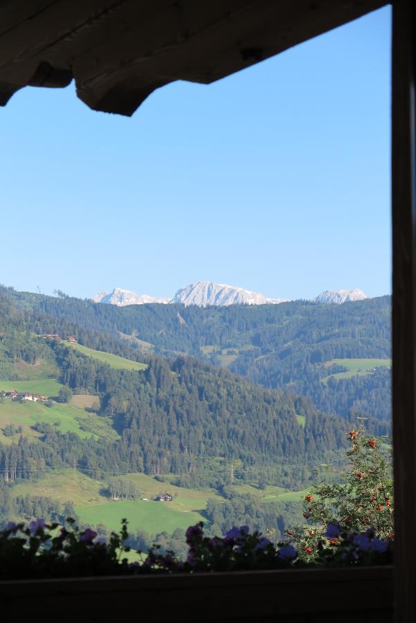 Haus Enzian Apartment Sankt Johann im Pongau Luaran gambar